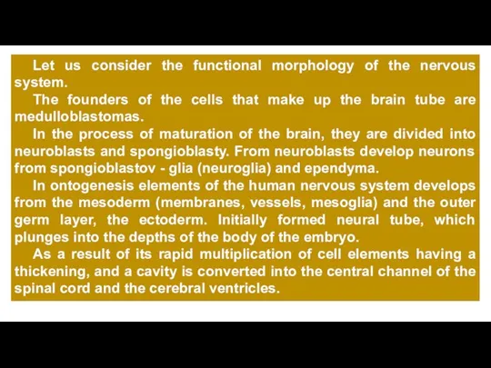 Let us consider the functional morphology of the nervous system. The founders of