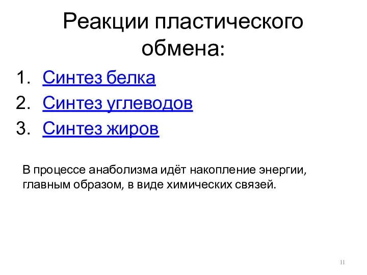 Реакции пластического обмена: Синтез белка Синтез углеводов Синтез жиров В