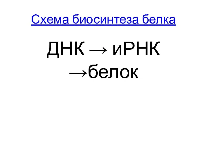 Схема биосинтеза белка ДНК → иРНК →белок