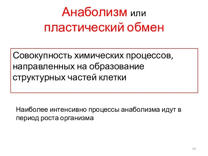 Анаболизм или пластический обмен Совокупность химических процессов, направленных на образование