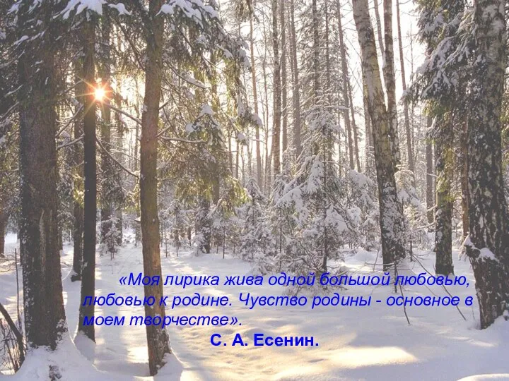 «Моя лирика жива одной большой любовью, любовью к родине. Чувство родины - основное