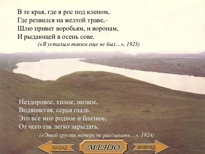 Нездоровое, хилое, низкое, Водянистая, серая гладь. Это все мне родное и близкое, От