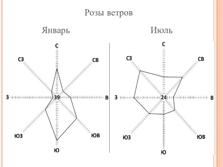 Розы ветров Январь Июль