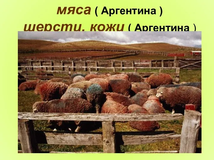 мяса ( Аргентина ) шерсти, кожи ( Аргентина )