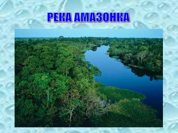 РЕКА АМАЗОНКА