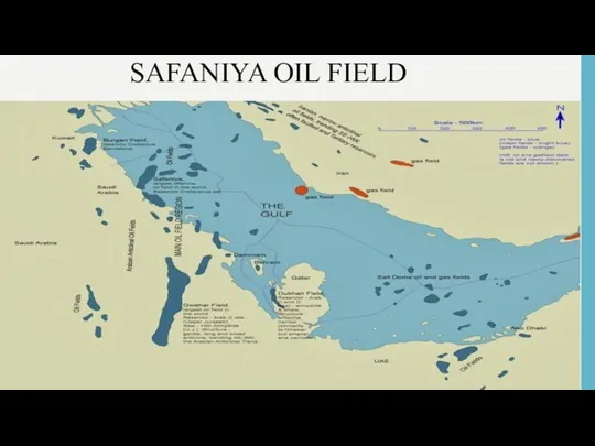 SAFANIYA OIL FIELD