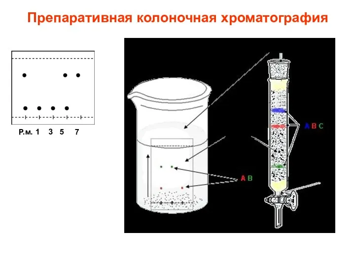 Препаративная колоночная хроматография Р.м. 1 3 5 7
