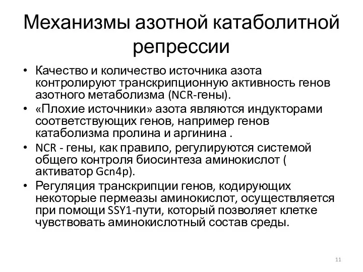 Механизмы азотной катаболитной репрессии Качество и количество источника азота контролируют