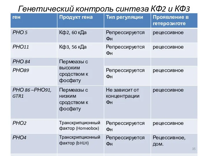 Генетический контроль синтеза КФ2 и КФ3