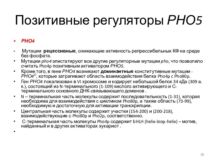 Позитивные регуляторы РНО5 РНО4 Мутации рецессивные, снижающие активность репрессибельных КФ