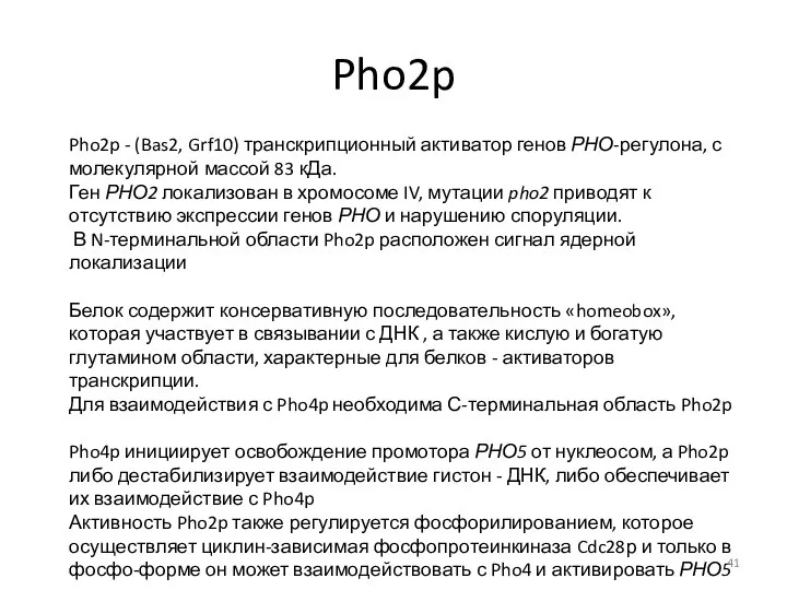 Pho2p Pho2p - (Bas2, Grf10) транскрипционный активатор генов РНО-регулона, с