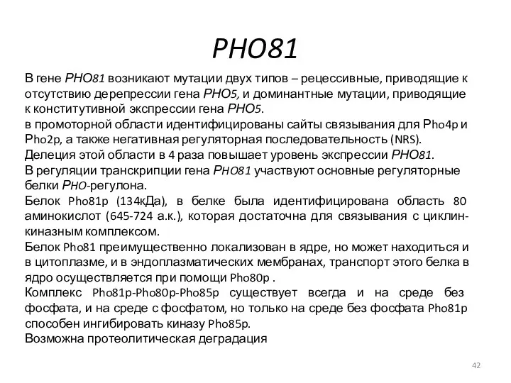 PHO81 В гене РНО81 возникают мутации двух типов – рецессивные,