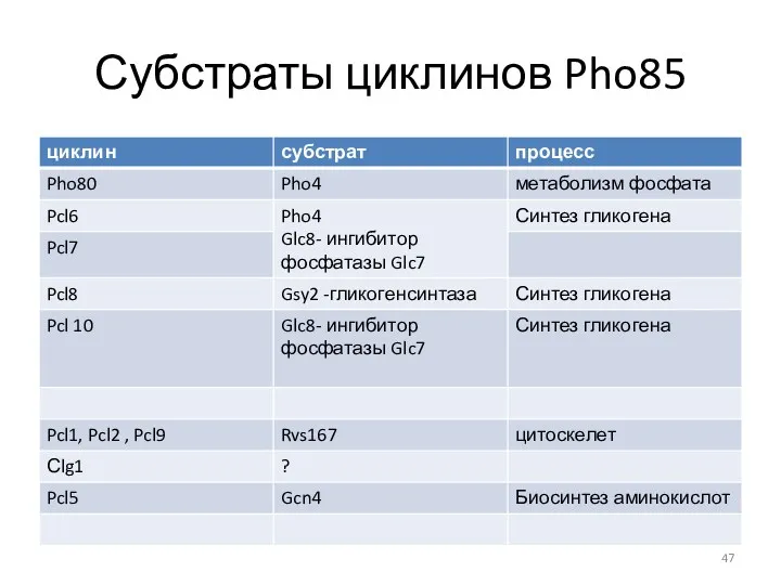 Субстраты циклинов Pho85