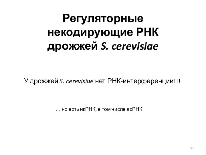 Регуляторные некодирующие РНК дрожжей S. cerevisiae У дрожжей S. cerevisiae