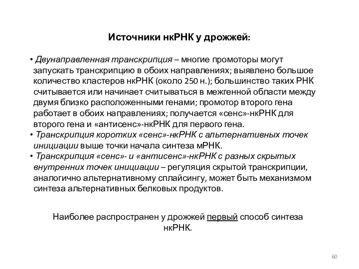 Источники нкРНК у дрожжей: Двунаправленная транскрипция – многие промоторы могут