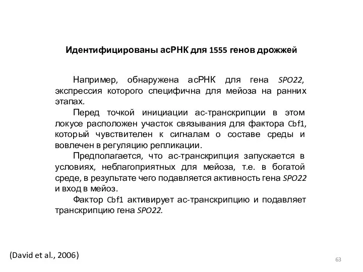 (David et al., 2006) Идентифицированы асРНК для 1555 генов дрожжей