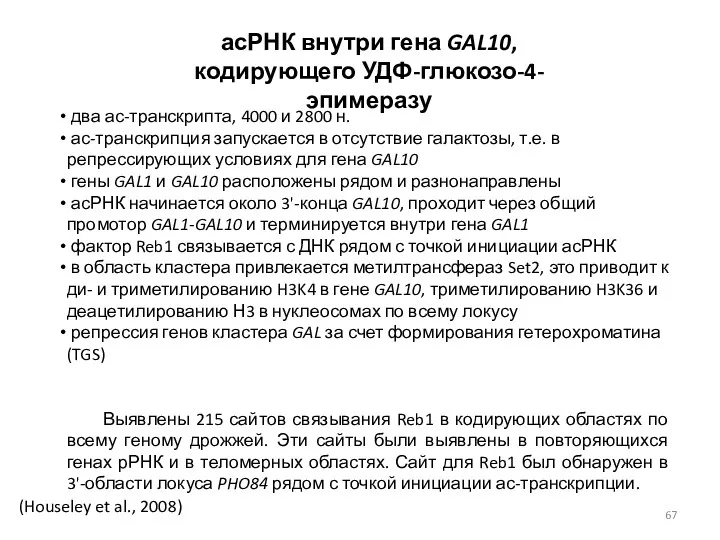 (Houseley et al., 2008) асРНК внутри гена GAL10, кодирующего УДФ-глюкозо-4-эпимеразу