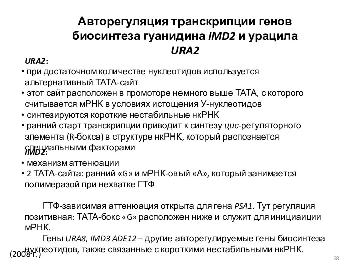 (2008 г.) Авторегуляция транскрипции генов биосинтеза гуанидина IMD2 и урацила