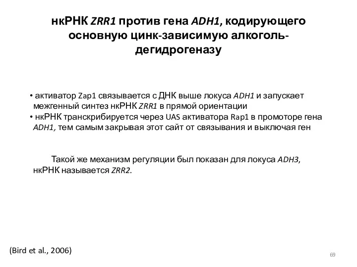 (Bird et al., 2006) нкРНК ZRR1 против гена ADH1, кодирующего