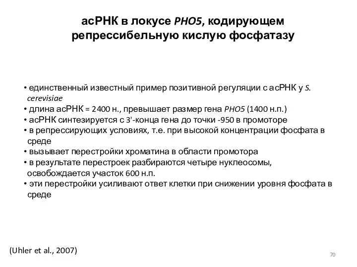 (Uhler et al., 2007) асРНК в локусе PHO5, кодирующем репрессибельную