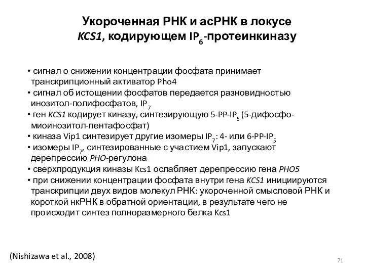 Укороченная РНК и асРНК в локусе KCS1, кодирующем IP6-протеинкиназу (Nishizawa