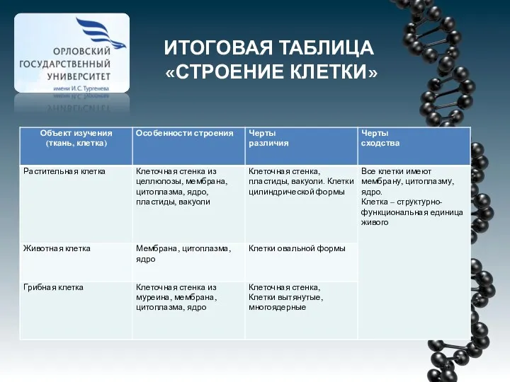 ИТОГОВАЯ ТАБЛИЦА «СТРОЕНИЕ КЛЕТКИ»