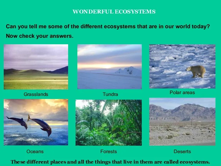 WONDERFUL ECOSYSTEMS These different places and all the things that