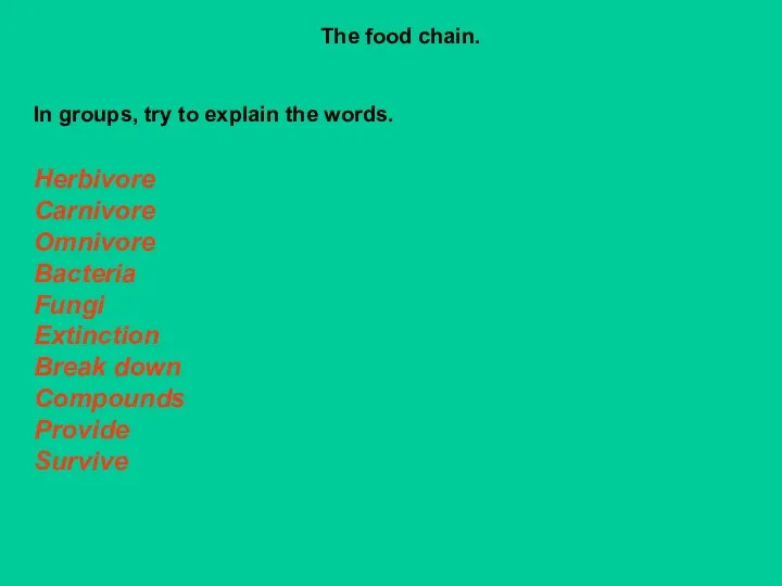 The food chain. In groups, try to explain the words.