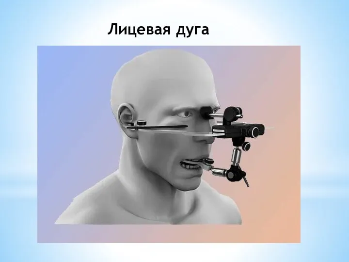 Лицевая дуга