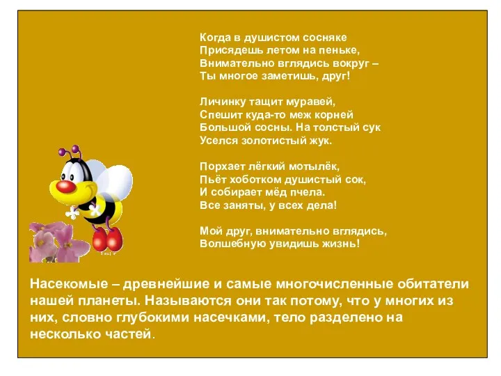 Насекомые – древнейшие и самые многочисленные обитатели нашей планеты. Называются