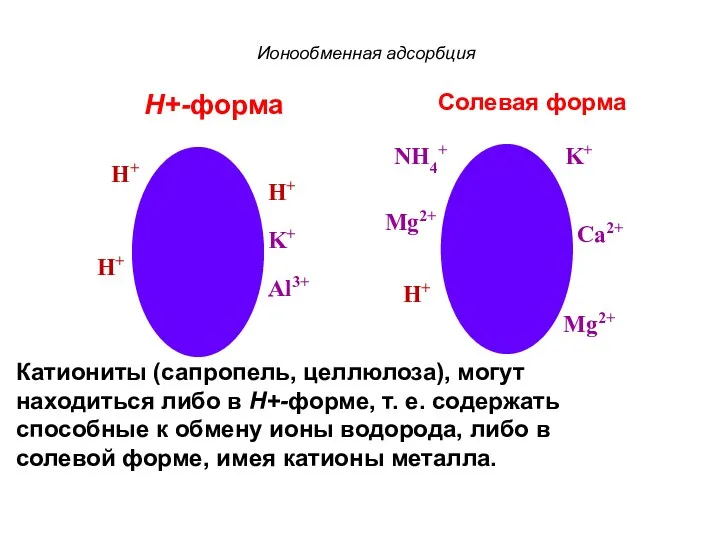 Ионообменная адсорбция Н+-форма Солевая форма Катиониты (сапропель, целлюлоза), могут находиться