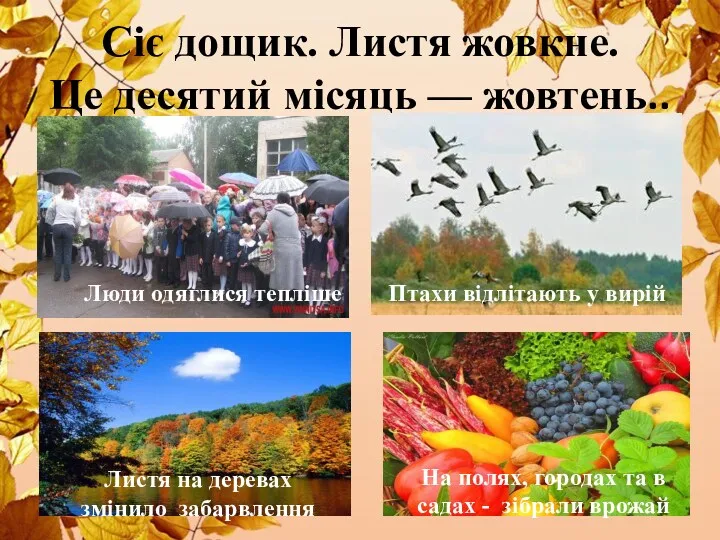 Сіє дощик. Листя жовкне. Це десятий місяць — жовтень.. Люди