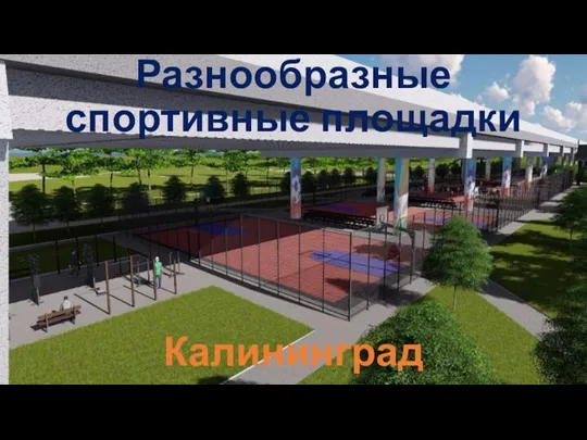 Разнообразные спортивные площадки Калининград