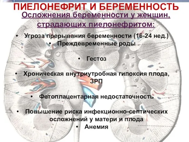 ПИЕЛОНЕФРИТ И БЕРЕМЕННОСТЬ Осложнения беременности у женщин, страдающих пиелонефритом: Угроза