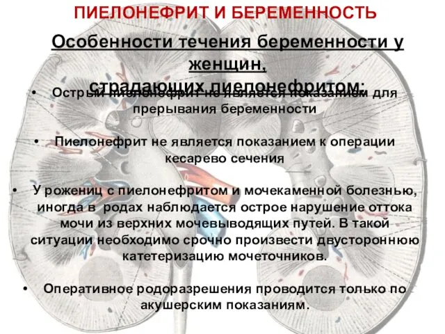 ПИЕЛОНЕФРИТ И БЕРЕМЕННОСТЬ Особенности течения беременности у женщин, страдающих пиелонефритом: