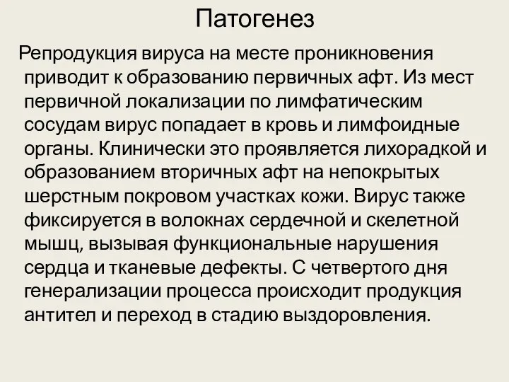 Патогенез Репродукция вируса на месте проникновения приводит к образованию первичных