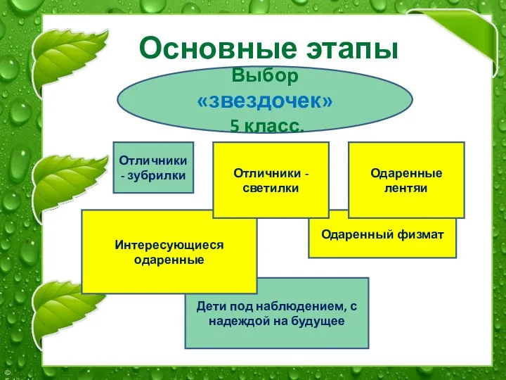 Основные этапы деятельности: Отличники - зубрилки Выбор «звездочек» 5 класс.