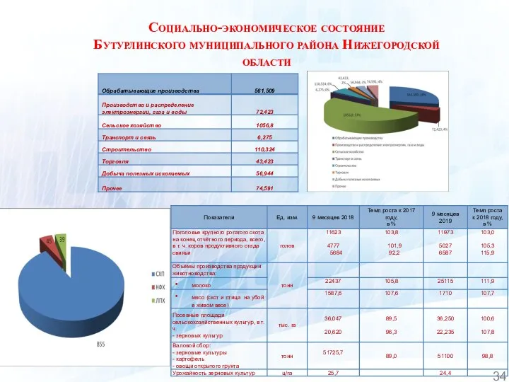 Социально-экономическое состояние Бутурлинского муниципального района Нижегородской области 1 34