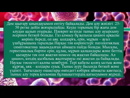 Дем шығару қиындауымен ентігу байқалады. Дем алу жиілігі 25- 50