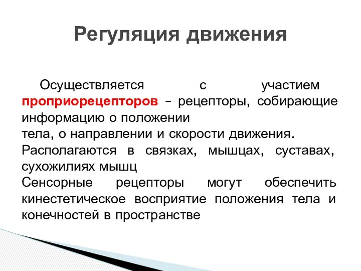 Осуществляется с участием проприорецепторов – рецепторы, собирающие информацию о положении