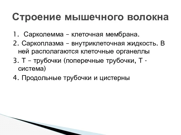 1. Сарколемма – клеточная мембрана. 2. Саркоплазма – внутриклеточная жидкость.