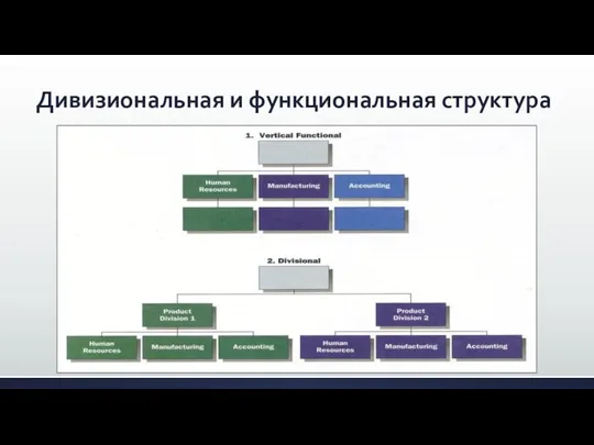 Дивизиональная и функциональная структура