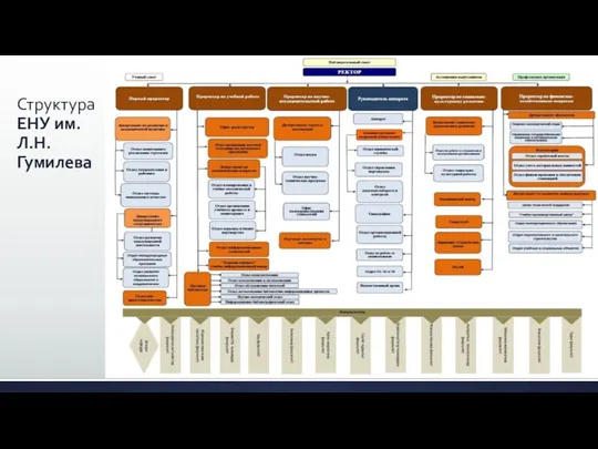 Структура ЕНУ им. Л.Н. Гумилева
