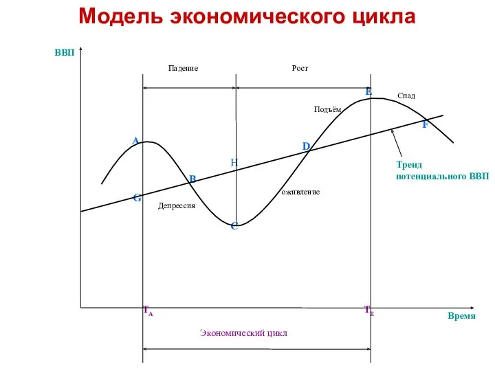Модель экономического цикла
