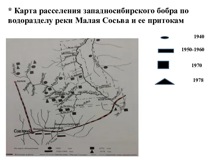 * Карта расселения западносибирского бобра по водоразделу реки Малая Сосьва