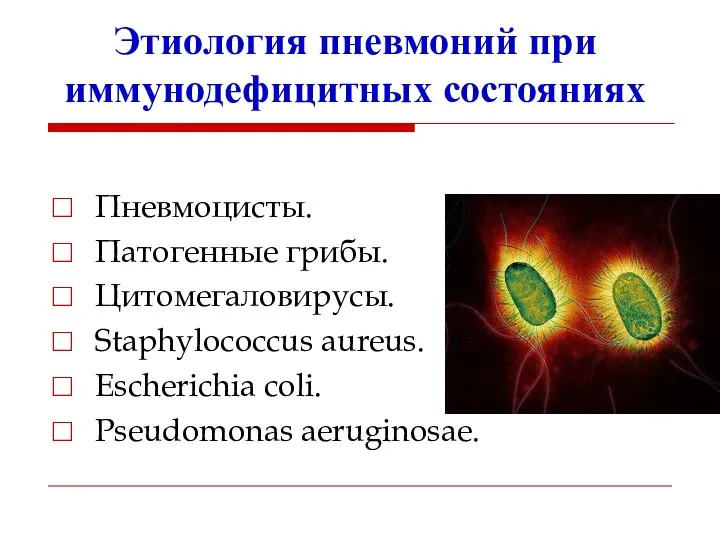 Этиология пневмоний при иммунодефицитных состояниях Пневмоцисты. Патогенные грибы. Цитомегаловирусы. Staphylococcus aureus. Escherichia coli. Pseudomonas aeruginosae.