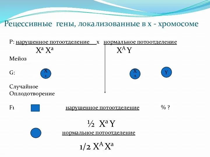 Рецессивные гены, локализованные в х - хромосоме P: нарушенное потоотделение