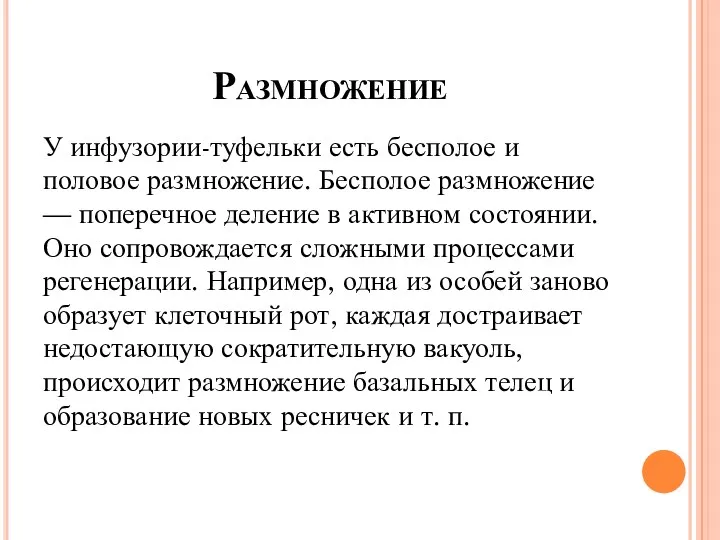 Размножение У инфузории-туфельки есть бесполое и половое размножение. Бесполое размножение