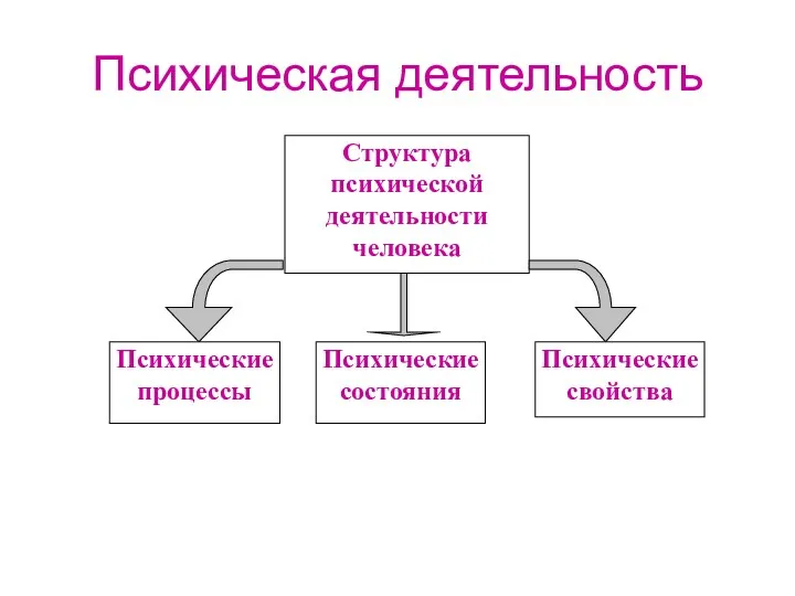 Психическая деятельность Структура психической деятельности человека Психические процессы Психические состояния Психические свойства