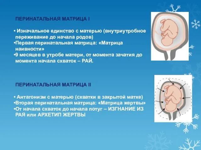 ПЕРИНАТАЛЬНАЯ МАТРИЦА I Изначальное единство с матерью (внутриутробное переживание до